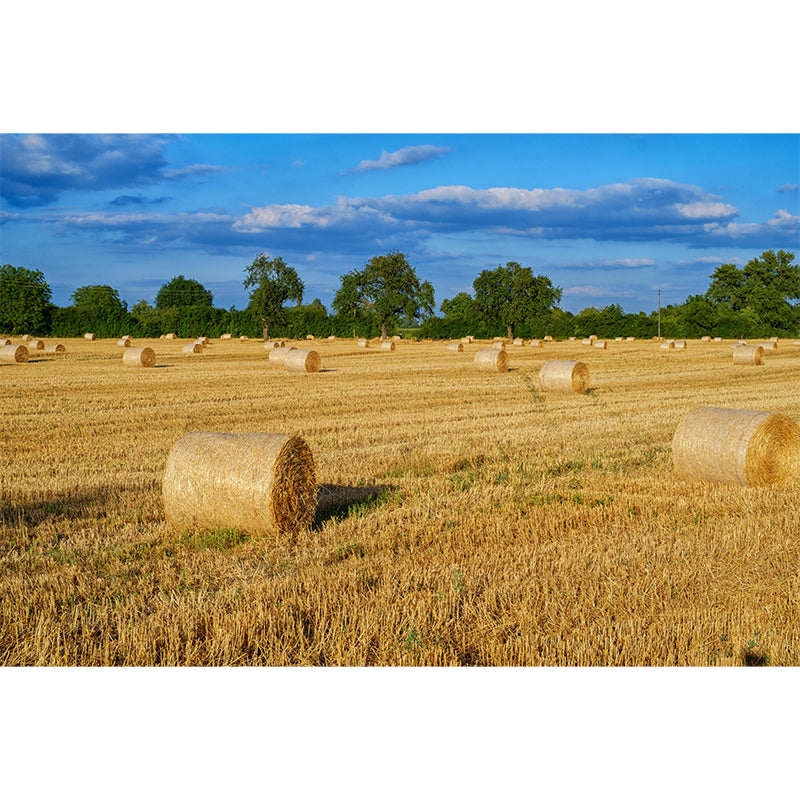 Customized Straw Bale Mural Decal Wall Decor Mildew Resistant for Living Room