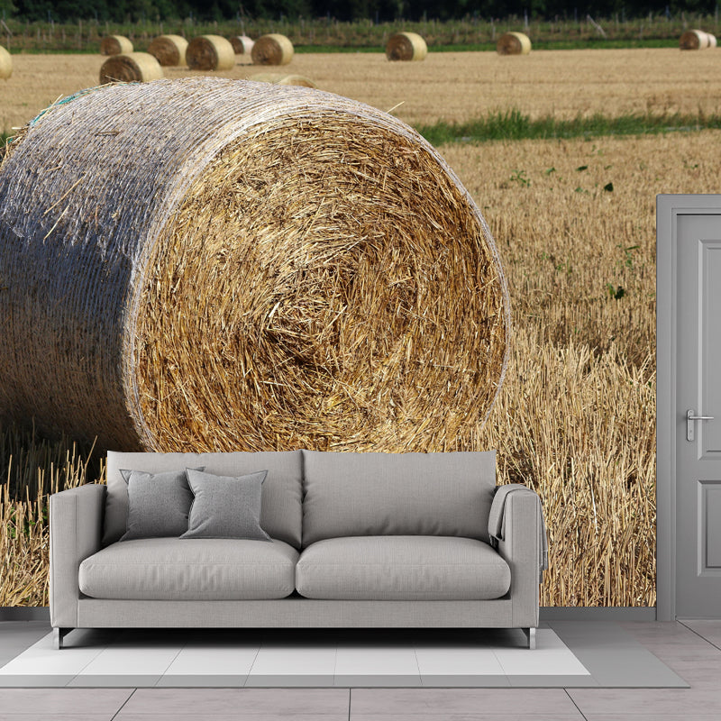 Straw Bale Mural Decal Wall Decor Mildew Resistant for Living Room