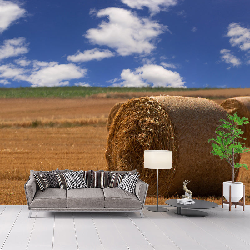 Straw Bale Mural Decal Wall Decor Mildew Resistant for Living Room