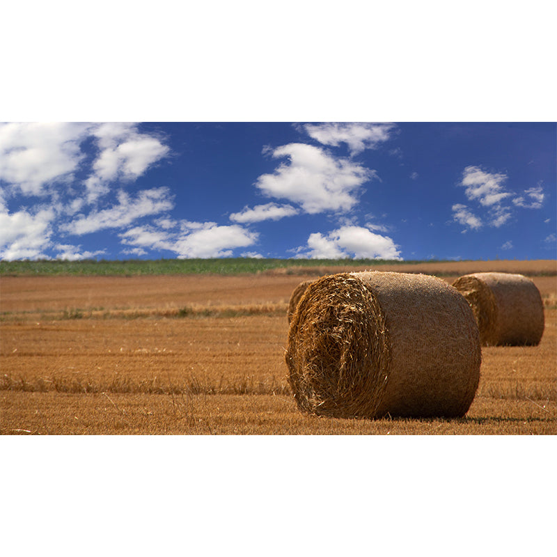 Straw Bale Mural Decal Wall Decor Mildew Resistant for Living Room