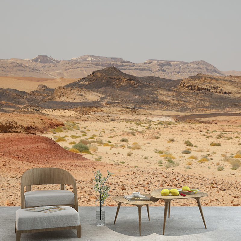Environment Friendly Desert Mural Decorative Mildew Resistant for Bedroom Dining Room
