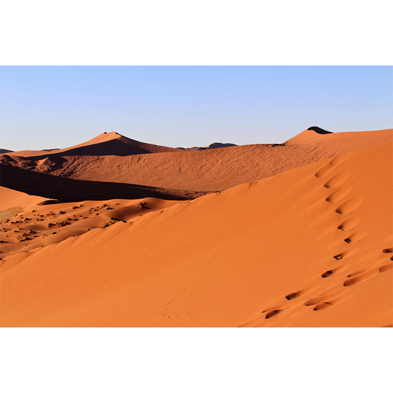 Mildew Resistant Desert Mural Decorative for Bedroom Decoration