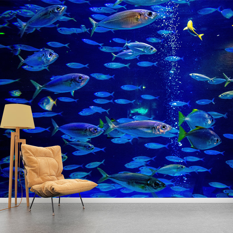 Underwater Fish Mural Wallpaper for Girls Boys Bedroom, Made to Measure