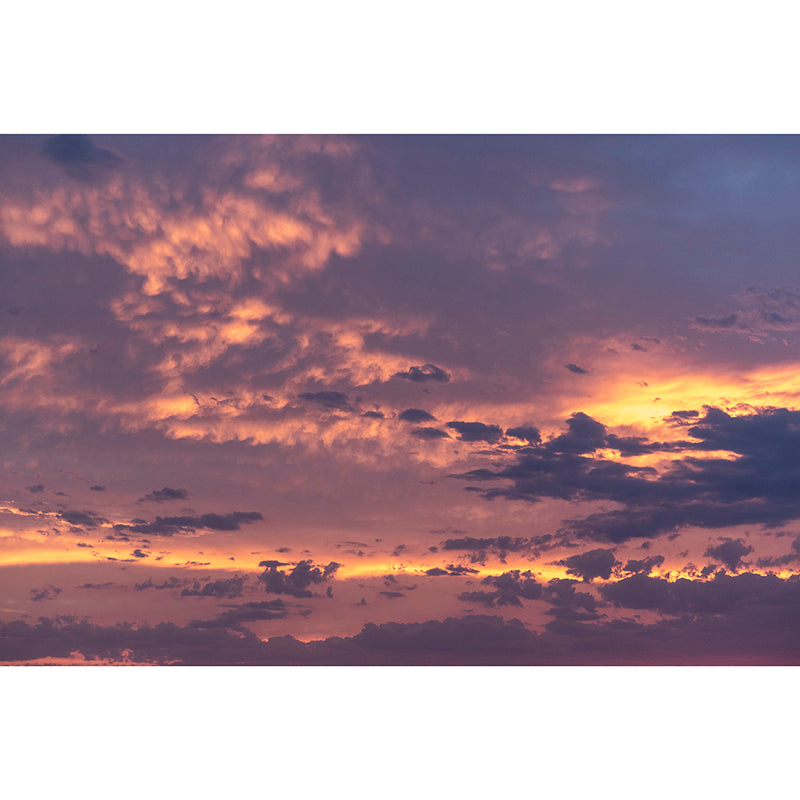 Sky Cloud Wall Mural Decal Moisture Resistant Home Decor in Light Color