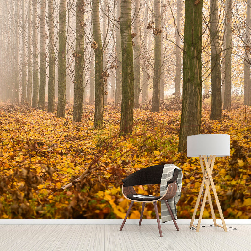 Forest Tree Wall Art Decor for Sitting Room Moisture Resistant Mural, Made to Measure