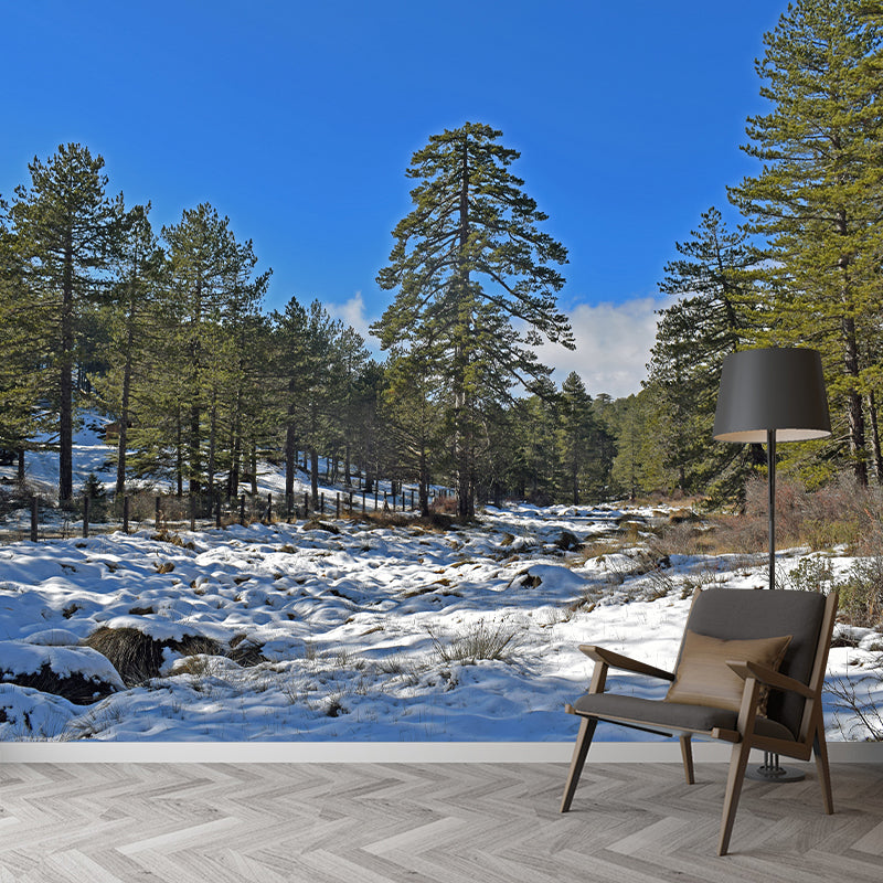 Green Forest Scenery Wallpaper Mural for Sitting Room, Made to Measure