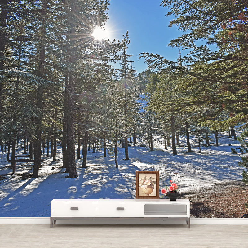 Green Forest Scenery Wallpaper Mural for Sitting Room, Made to Measure