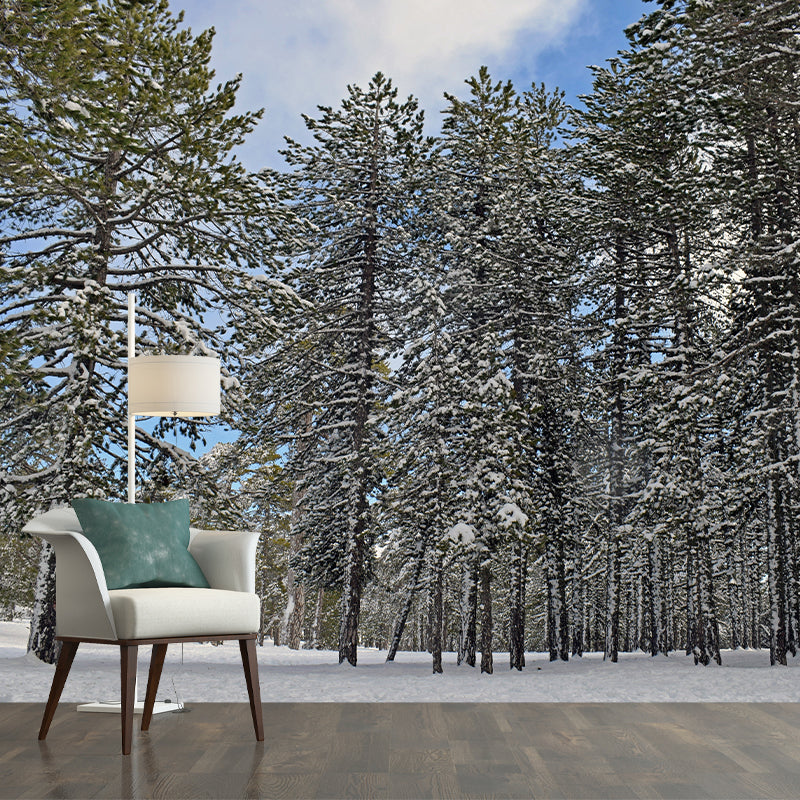 Green Forest Scenery Wallpaper Mural for Sitting Room, Made to Measure