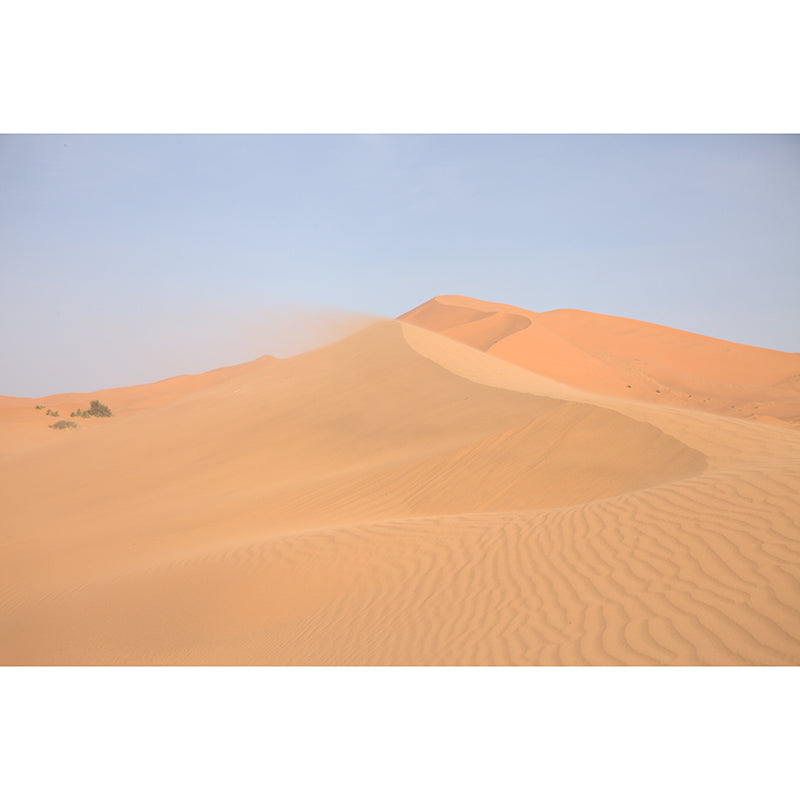 Desert Nature Landscape Wall Murals for Dining Room Wall Decor, Made to Measure