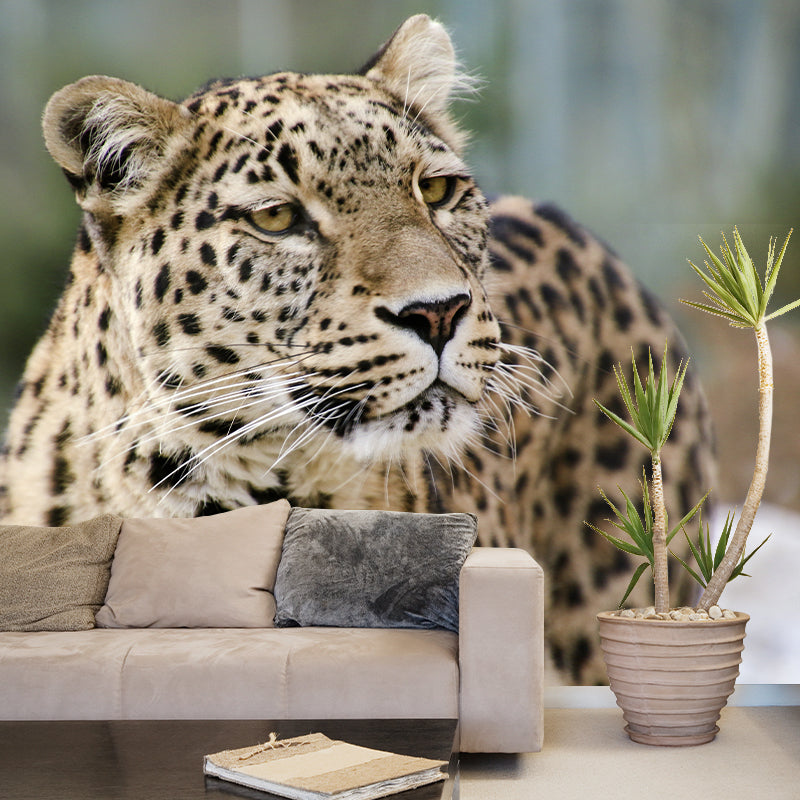 Wild Animal Leopard Mildew Resistant Wall Art Decor for Sitting Room, Made to Measure