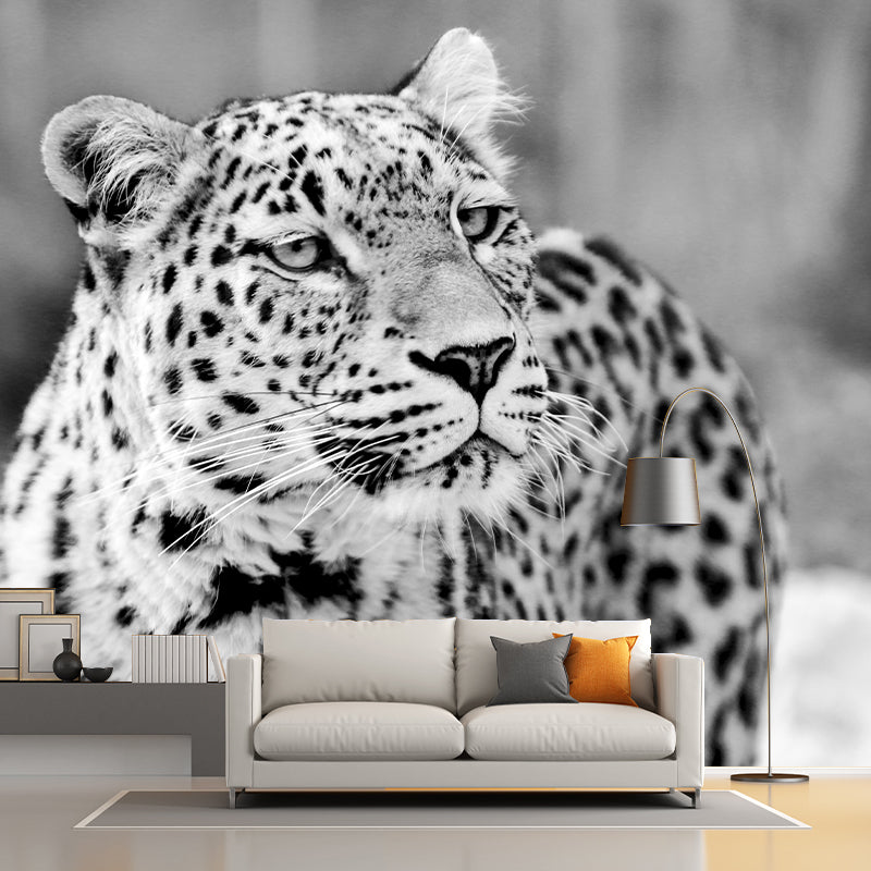 Wild Animal Leopard Mildew Resistant Wall Art Decor for Sitting Room, Made to Measure