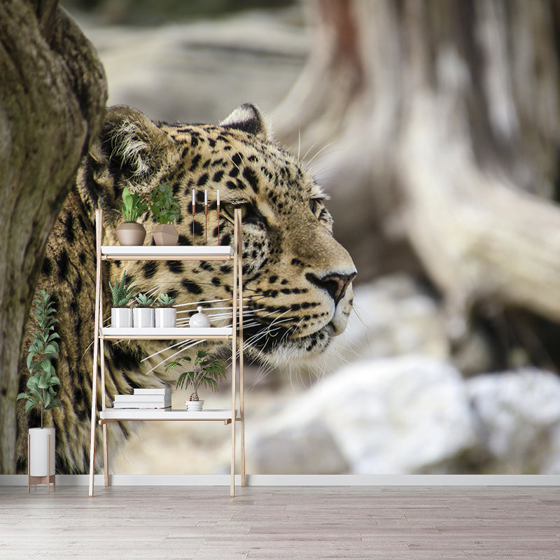 Wild Animal Leopard Mildew Resistant Wall Art Decor for Sitting Room, Made to Measure