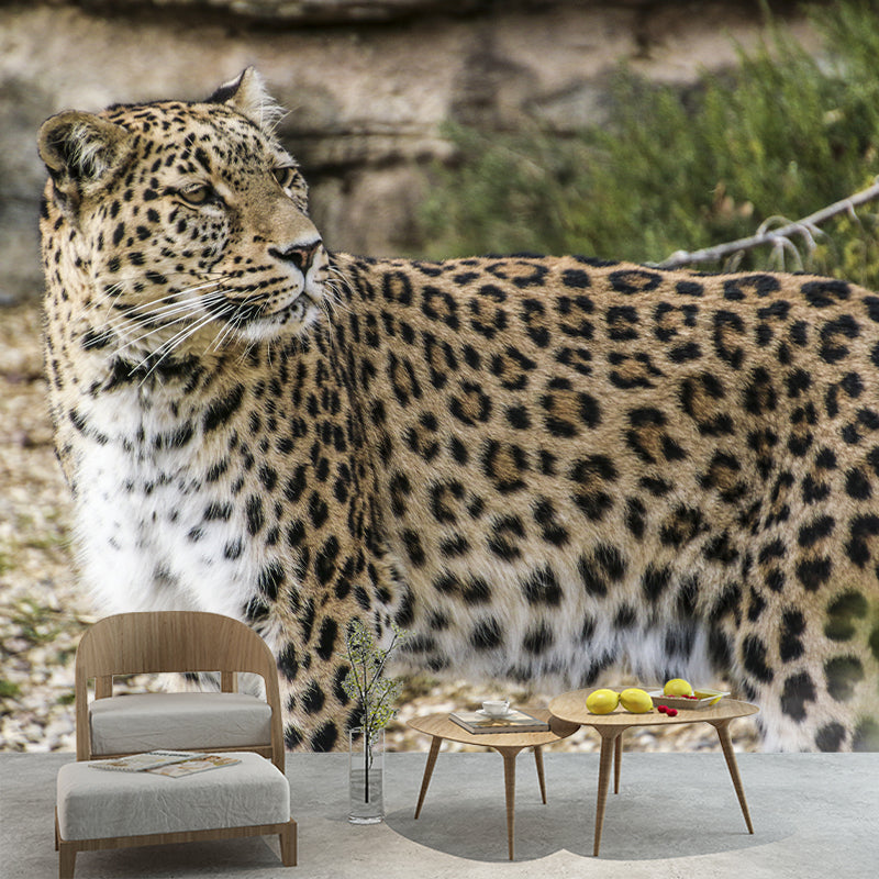 Wild Animal Leopard Mildew Resistant Wall Art Decor for Sitting Room, Made to Measure