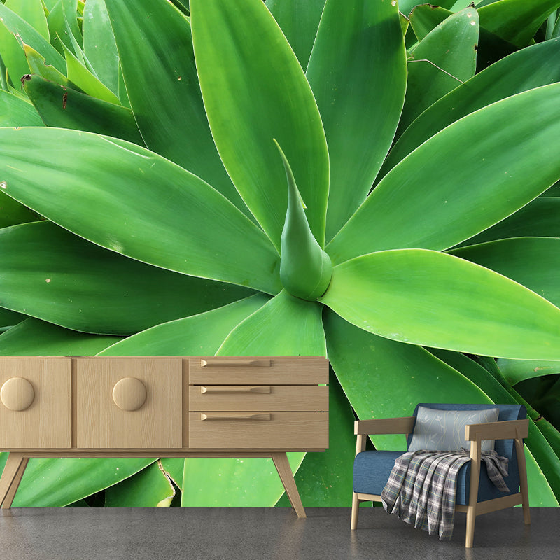 Agave Plant Murals Contemporary Style Photography for Bedroom Home Decor