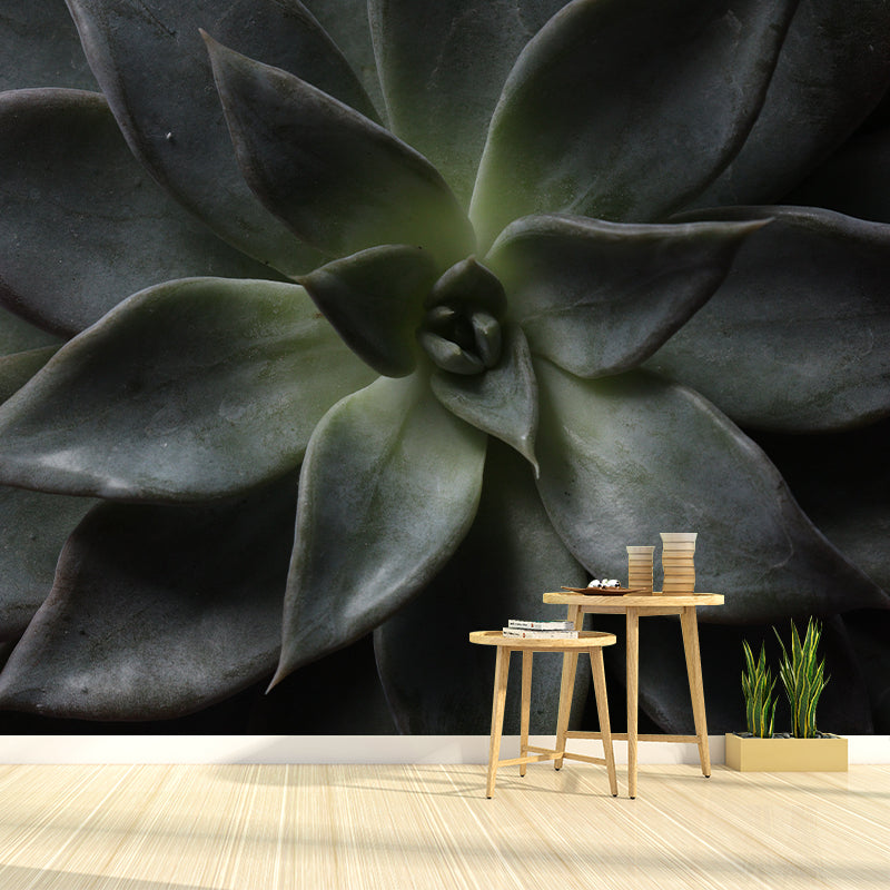 Agave Plant Murals Contemporary Style Photography for Bedroom Home Decor