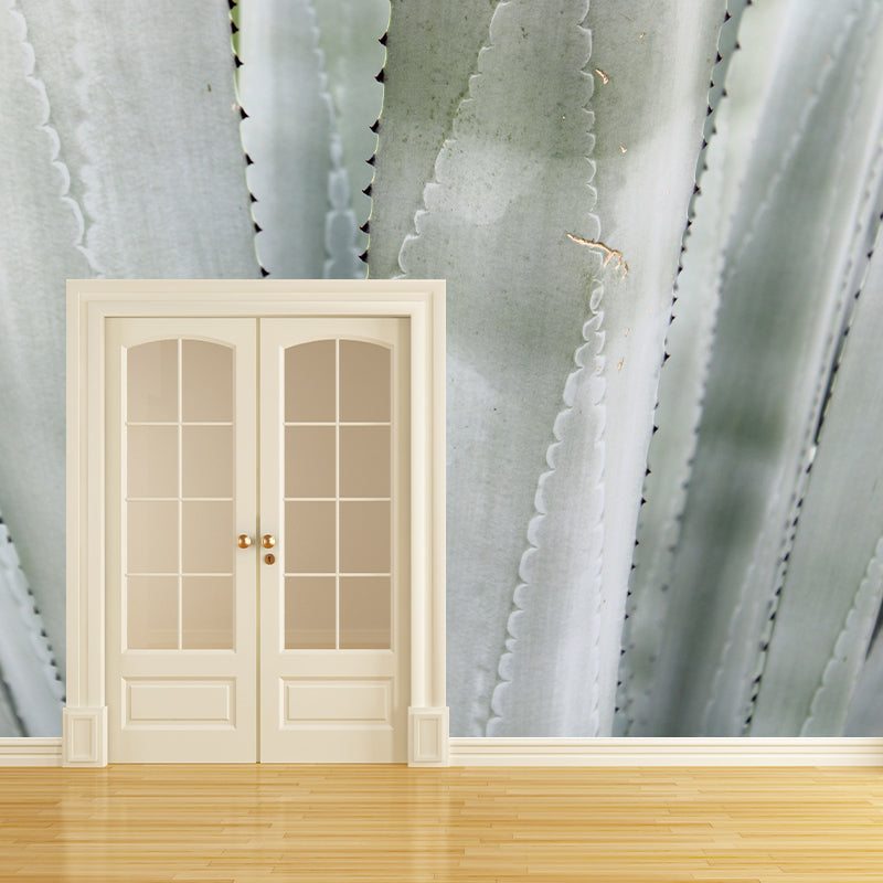 Agave Plant Murals Contemporary Style Photography for Bedroom Home Decor