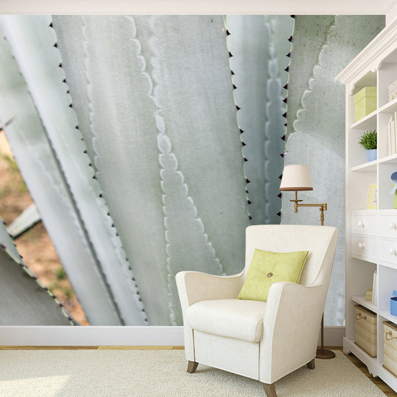 Agave Plant Murals Contemporary Style Photography for Bedroom Home Decor