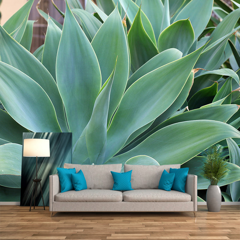 Green Agave Plant Wall Murals for Reading Room Home Decor, Made to Measure