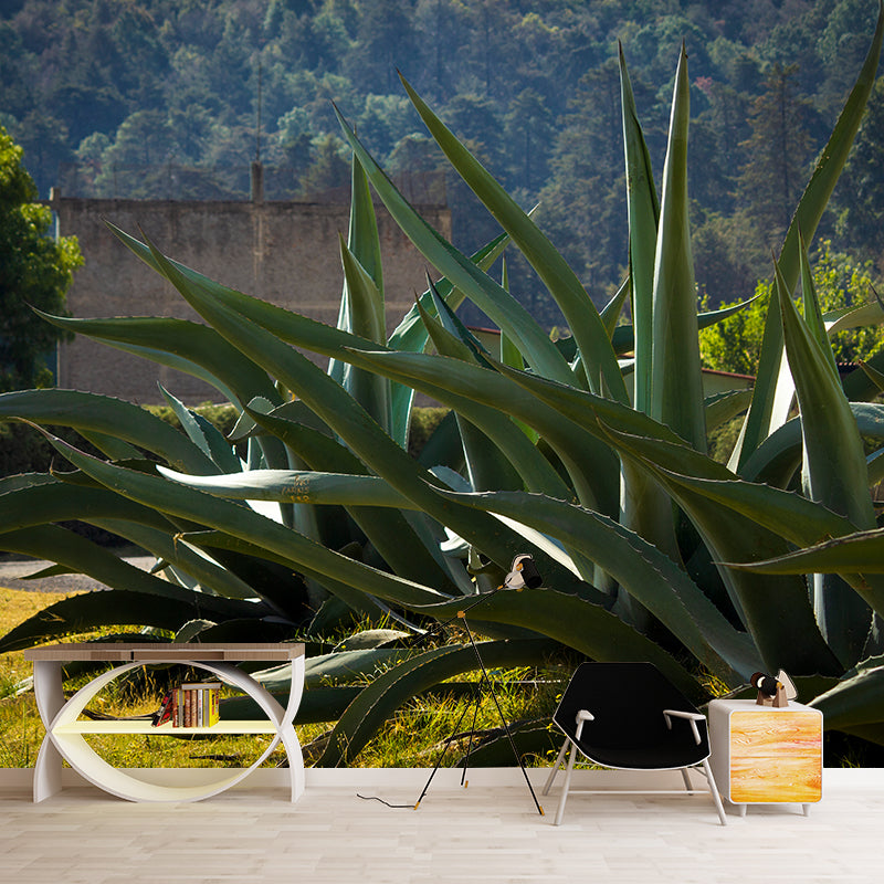 Green Agave Plant Wall Murals for Reading Room Home Decor, Made to Measure