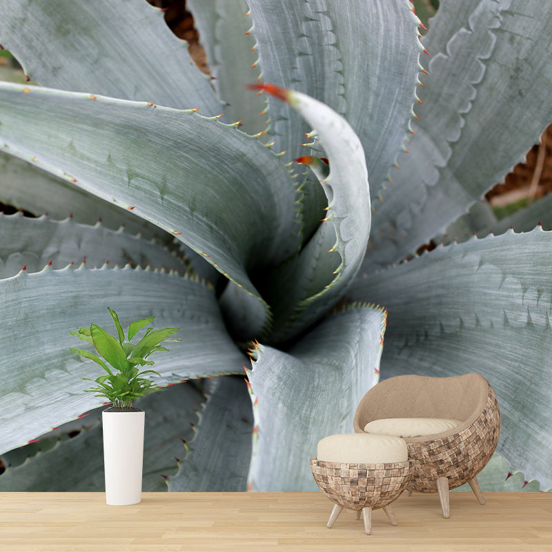 Green Agave Plant Wall Murals for Reading Room Home Decor, Made to Measure