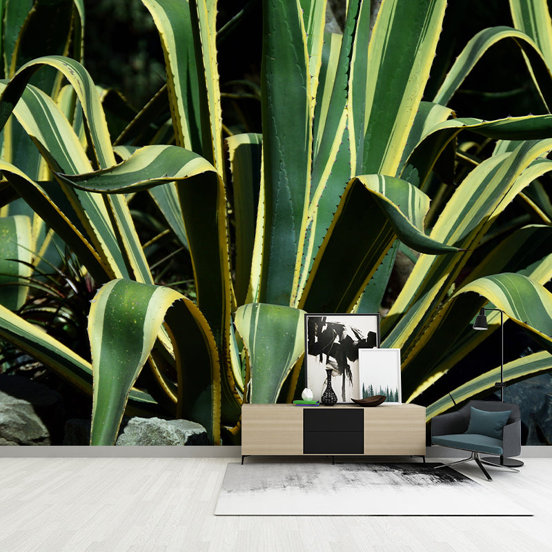 Green Agave Plant Wall Murals for Reading Room Home Decor, Made to Measure
