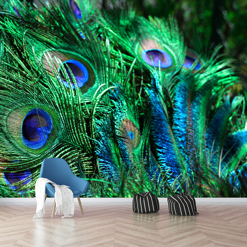 Vivid Feathers Wall Paper Murals Mildew Resistant Living Room Wall Decor