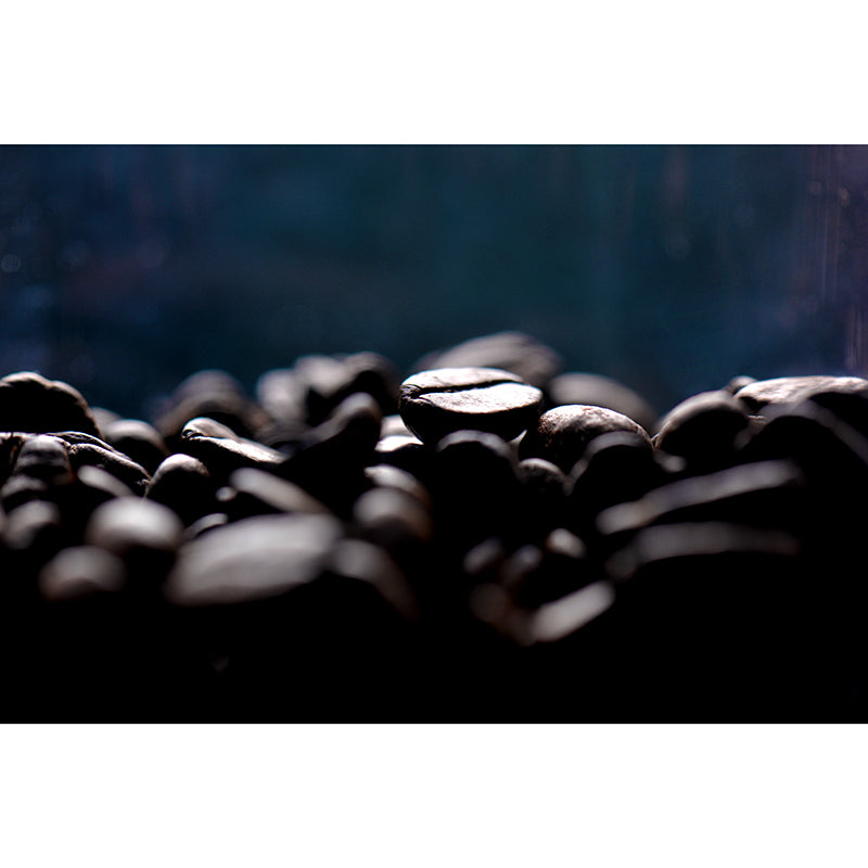 Contemporary Cafe Decoration Coffee Beans Wall Paper Murals, Made to Measure