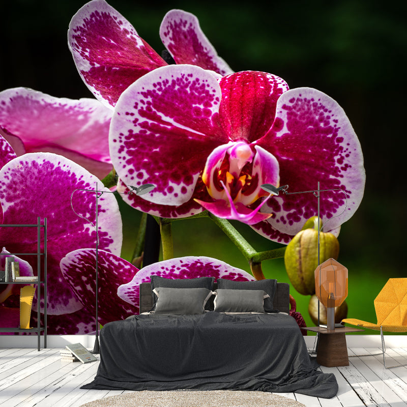 Cymbidium Murals for Sleeping Room Personalized Wall Decor, Moisture Resistant