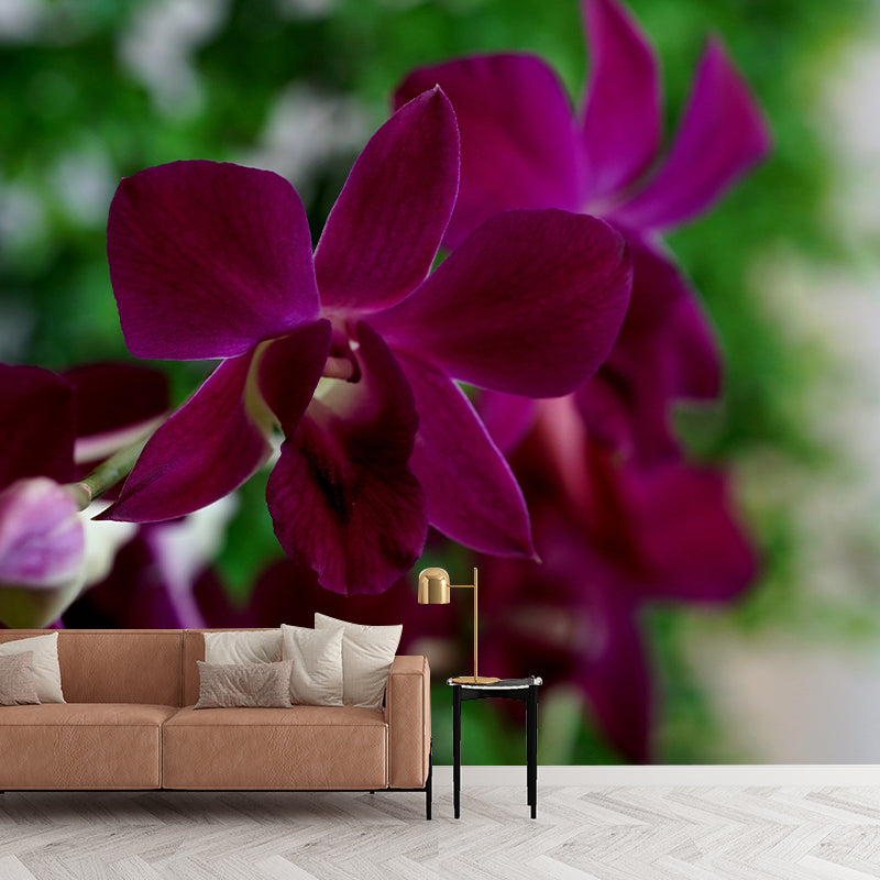 Cymbidium Murals for Sleeping Room Personalized Wall Decor, Moisture Resistant