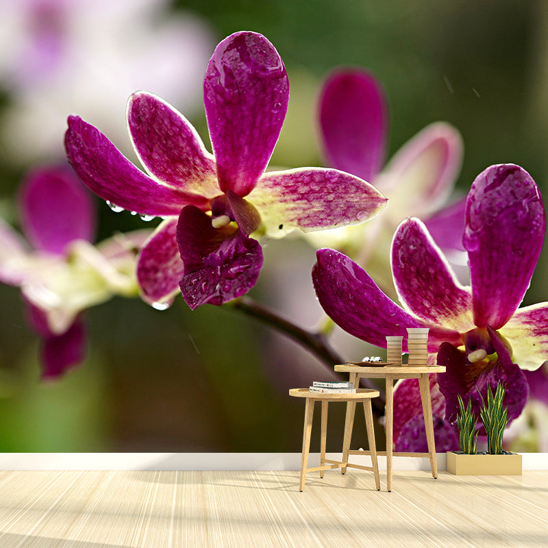 Beautiful Orchid Wall Mural Moisture Resistant Wall Decor for Sleeping Room