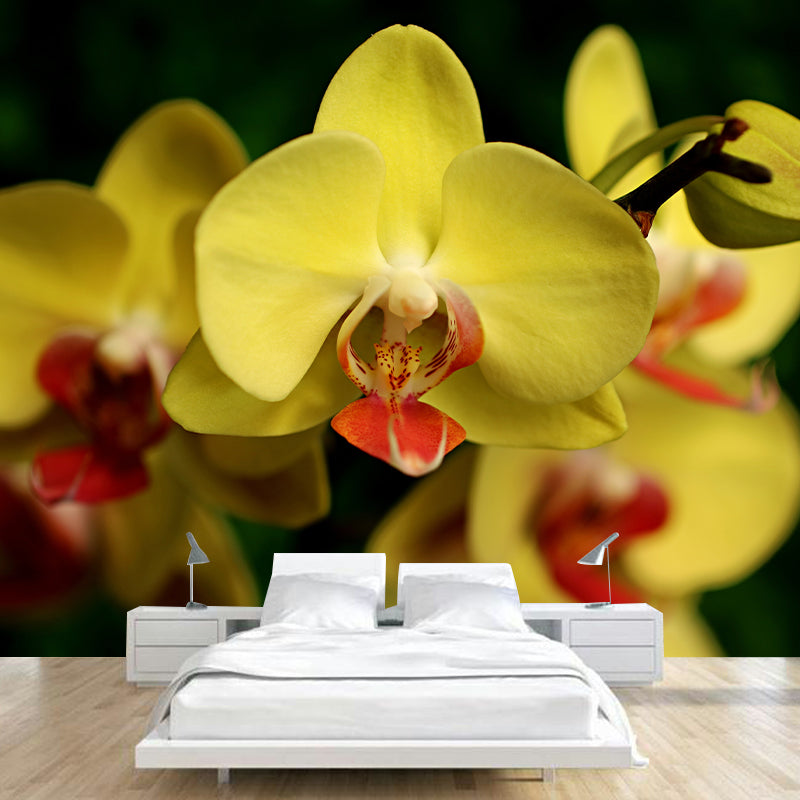 Beautiful Orchid Wall Mural Moisture Resistant Wall Decor for Sleeping Room