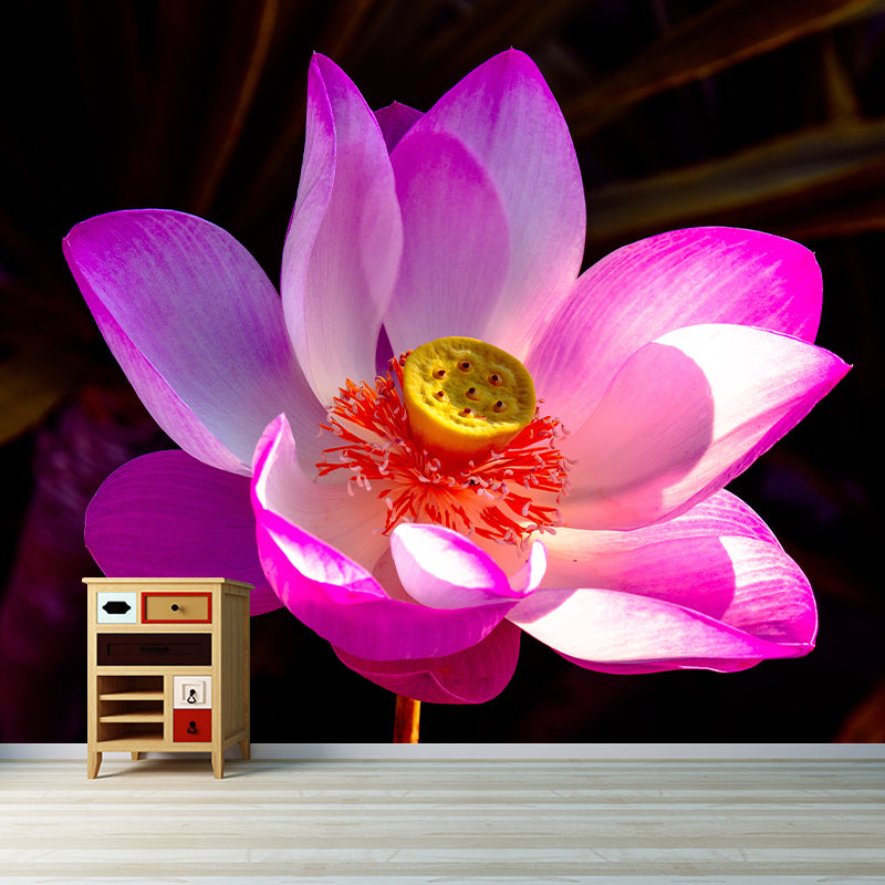 Lotus Flower Wall Mural Moisture Resistant Wall Decor for Sleeping Room