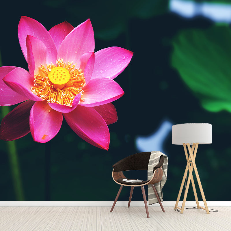 Lotus Flower Wall Mural Moisture Resistant Wall Decor for Sleeping Room