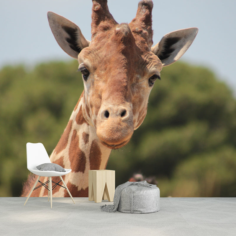 Giraffe Animal Wall Covering for Sitting Room Moisture Resistant, Made to Measure