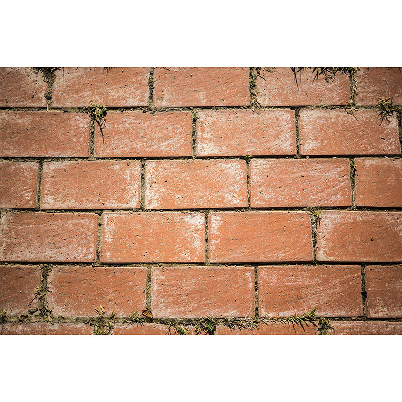 Brick Wall Background Design Wall Murals for Living Room, Moisture Resistant