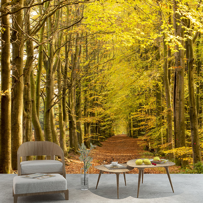 Forest View Mural Decal Water Resistant Decor for Sleeping Room, Personalized Size Available