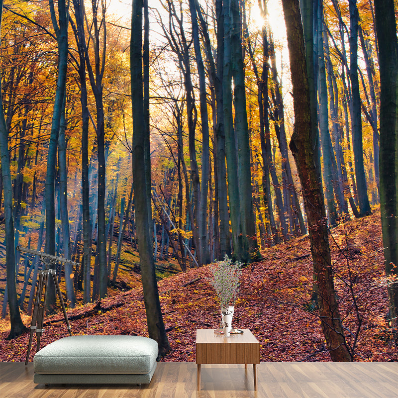 Forest View Mural Decal Water Resistant Decor for Sleeping Room, Personalized Size Available