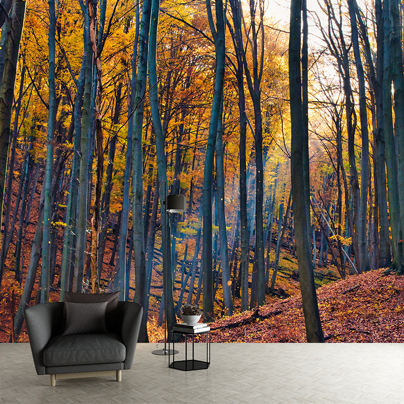 Forest View Mural Decal Water Resistant Decor for Sleeping Room, Personalized Size Available