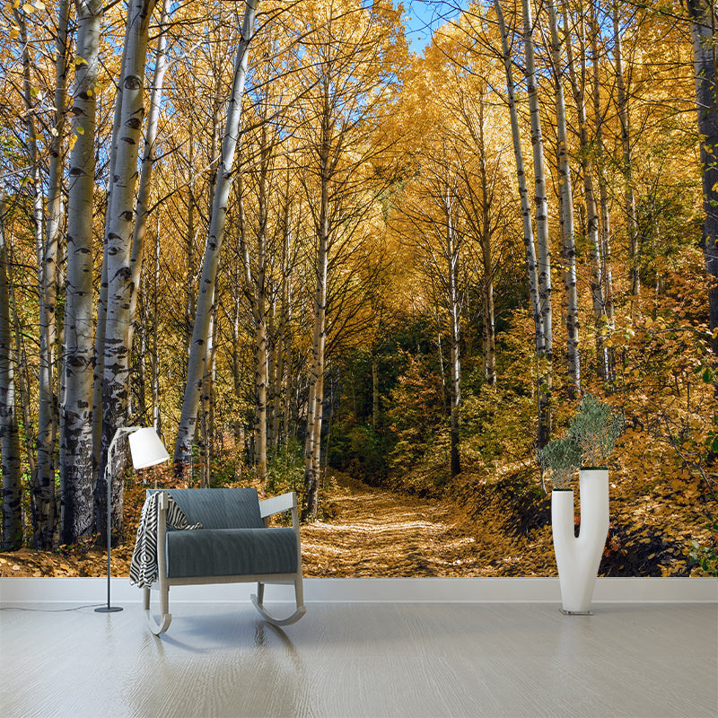 Forest View Mural Decal Water Resistant Decor for Sleeping Room, Personalized Size Available