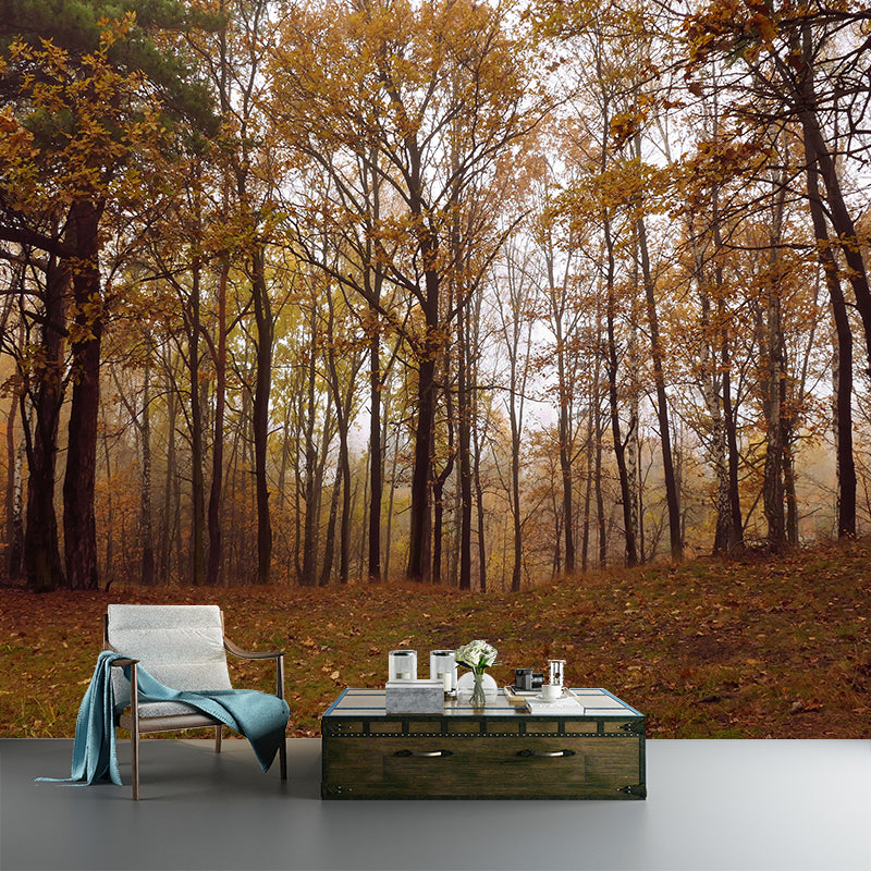 Forest View Mural Decal Water Resistant Decor for Sleeping Room, Personalized Size Available