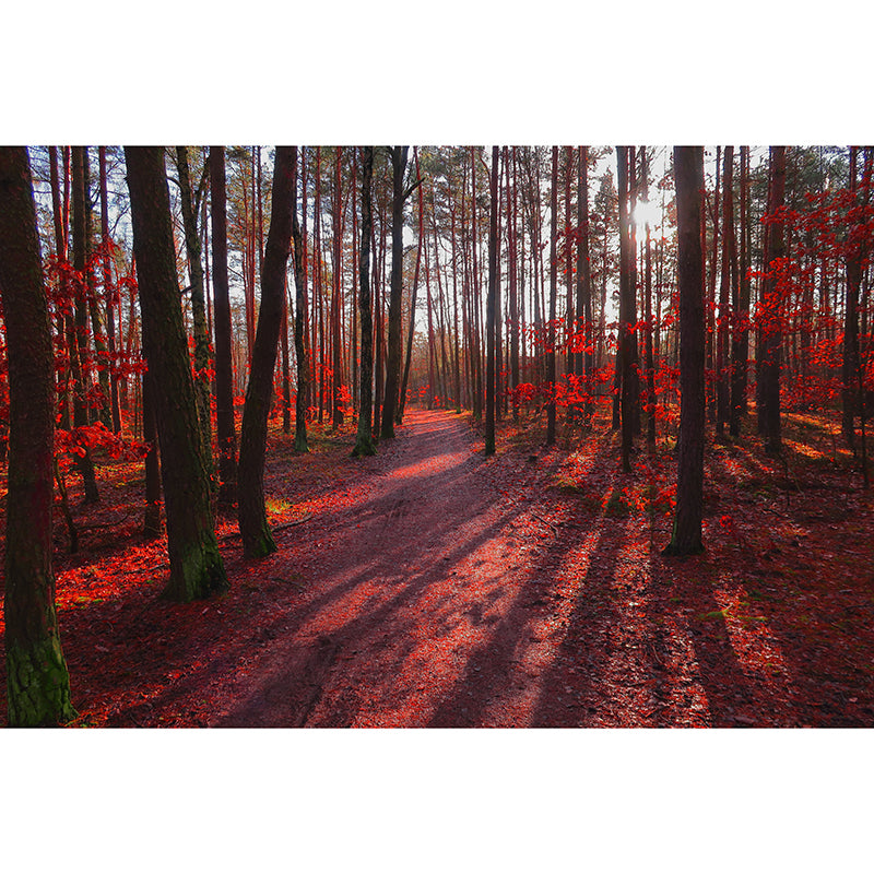 Forest Scenery Moisture Resistant Mural Decal Modern Wall Decor for Sleeping Room