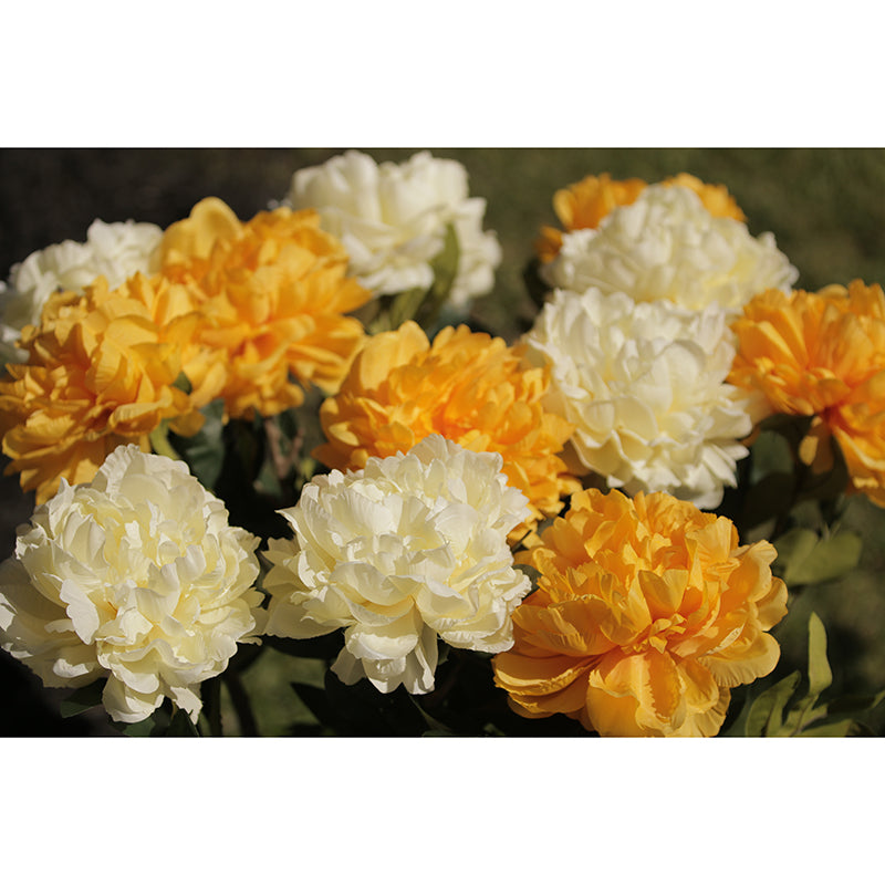 Peony Murals Contemporary Washable Girls' Bedroom Wall Decor, Personalized Size Available