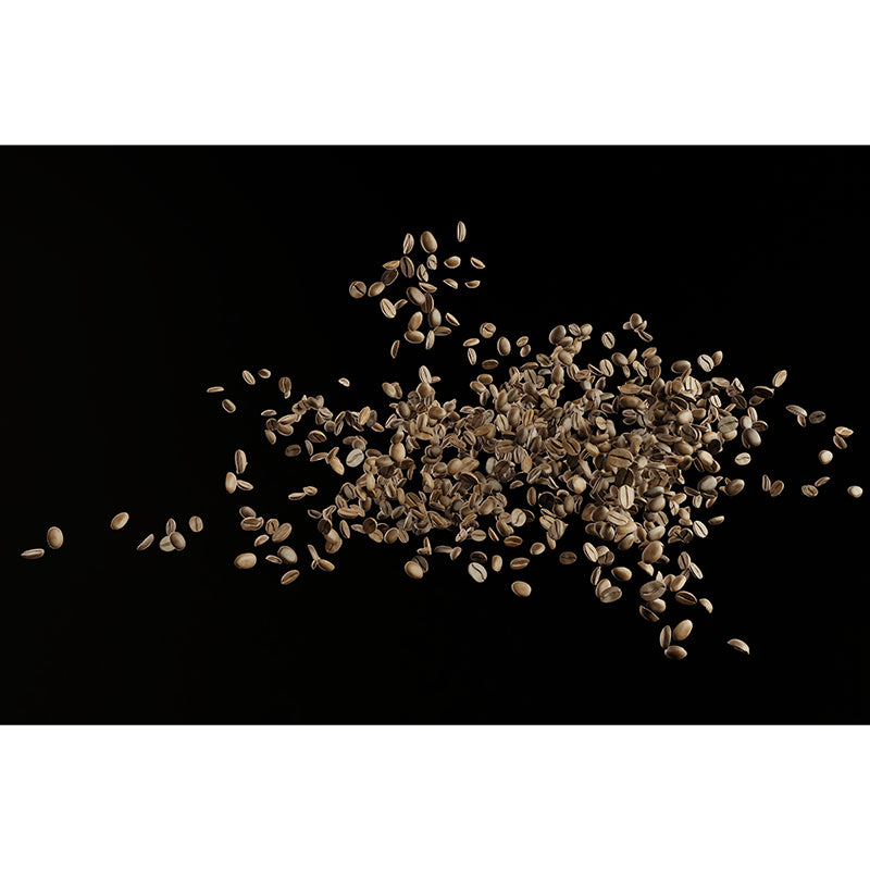 Coffee Shop Wall Mural Minimalist Decoration Coffee Beans, Moisture Resistant