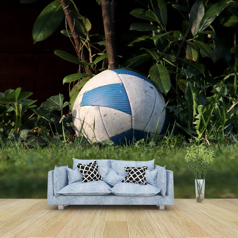 Football Wall Murals Contemporary Photography Style Wall Art for Bedroom