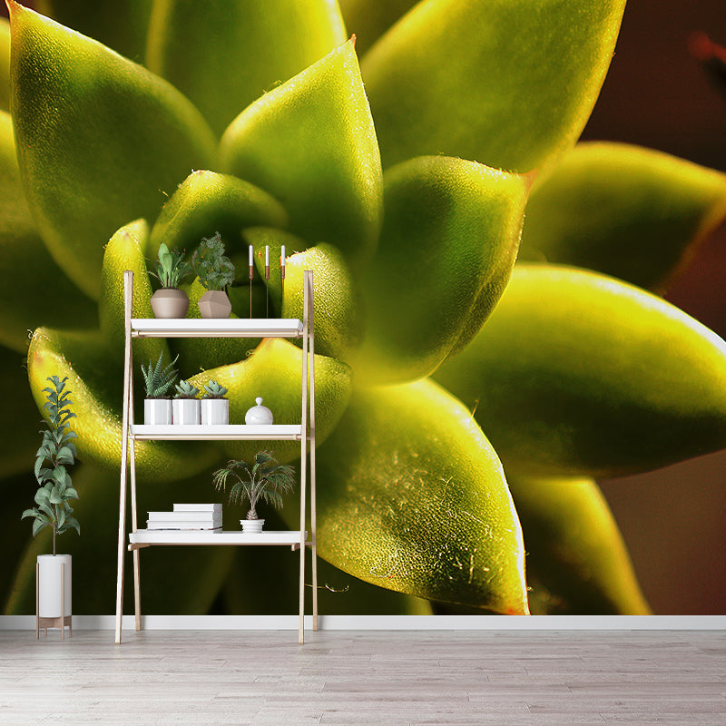 Green Plants Mural Wallpaper Environment Friendly Decorative Restaurant