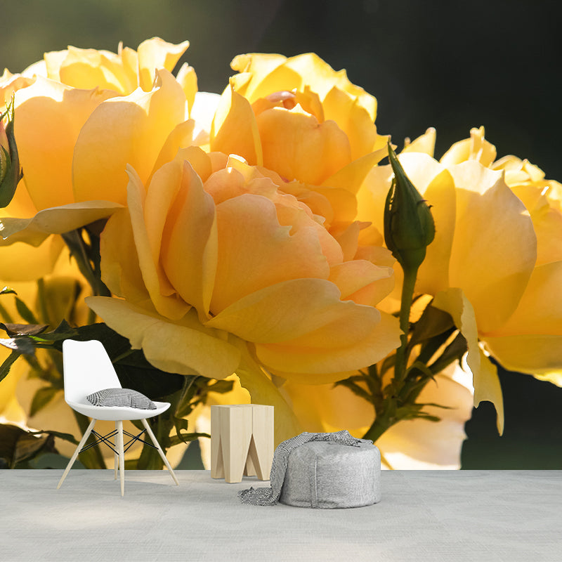 Rose Flower Mural Wallpaper for Girl Bedroom Moisture Resistant, Custom Size Available