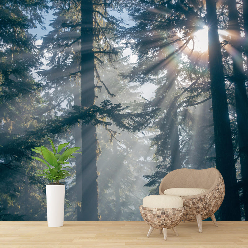 Huge Forest Landscapes Mural Horizontal Photography Wall Covering for Bedroom