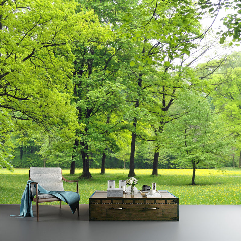 Huge Forest Landscapes Mural Photography Wall Covering for Dining Room