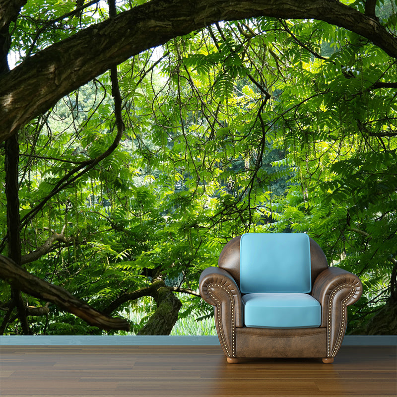 Contemporary Forest Wall Mural Decor Horizontal Photography Eco-friendly for Decoration