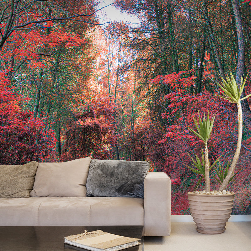Contemporary Forest Wall Mural Decor Horizontal Photography Eco-friendly for Decoration